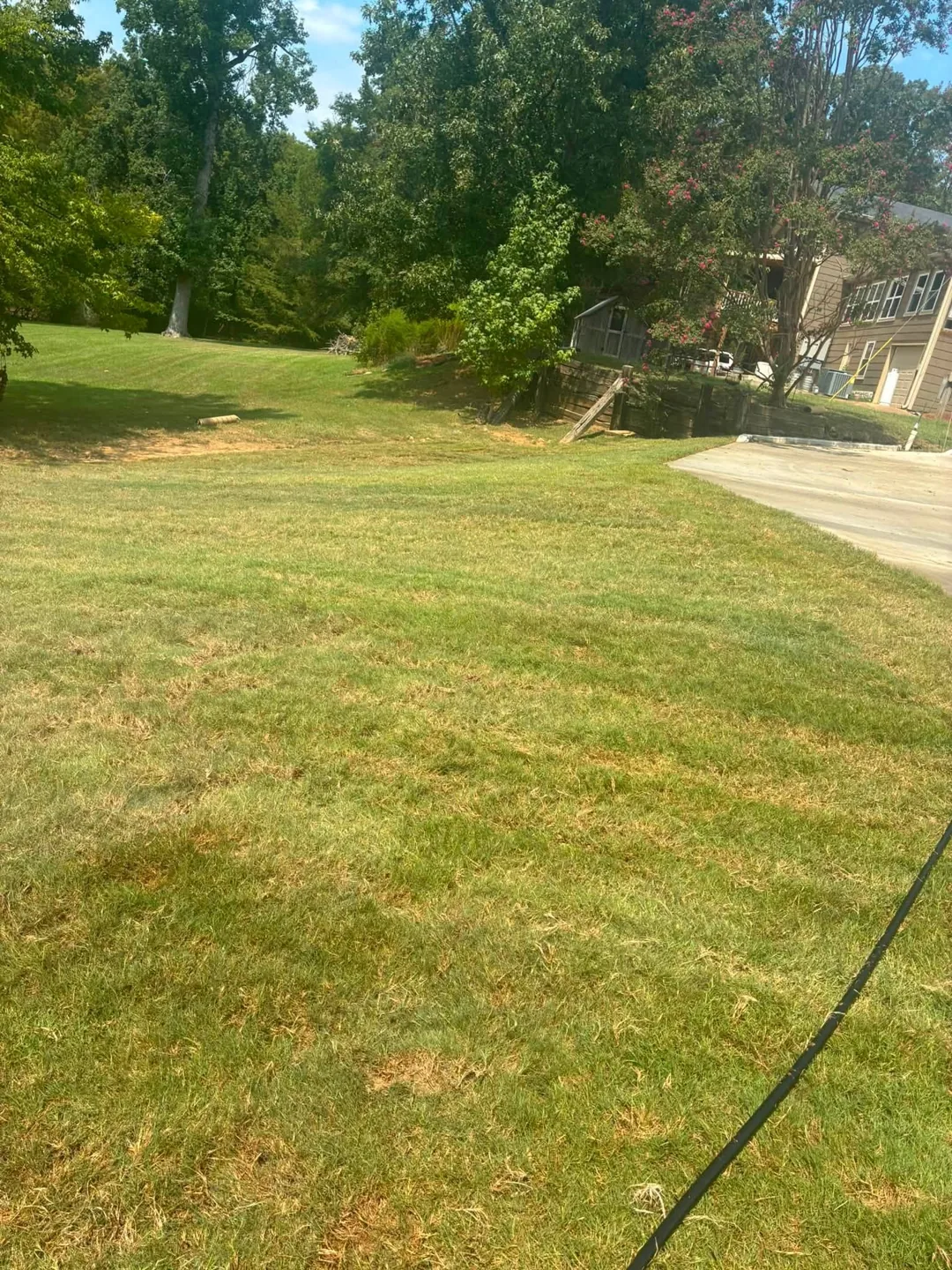 Newly laid sod extending toward trees at the edge of a property