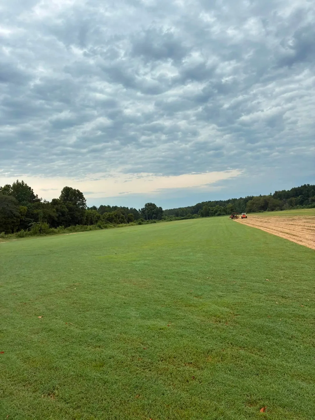 Broad green sod field beneath a cloudy sky