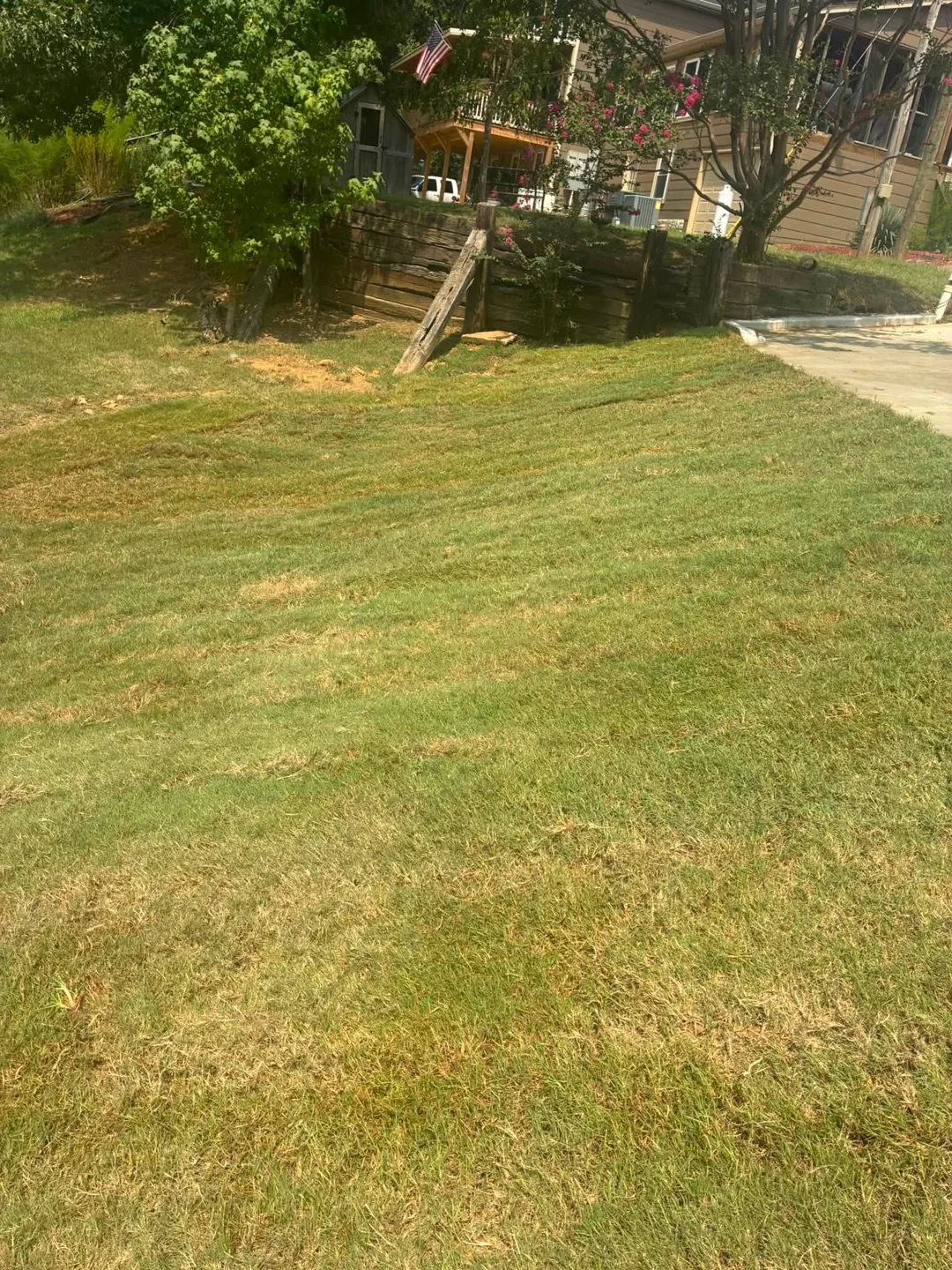Fresh sod around a backyard deck and mature trees